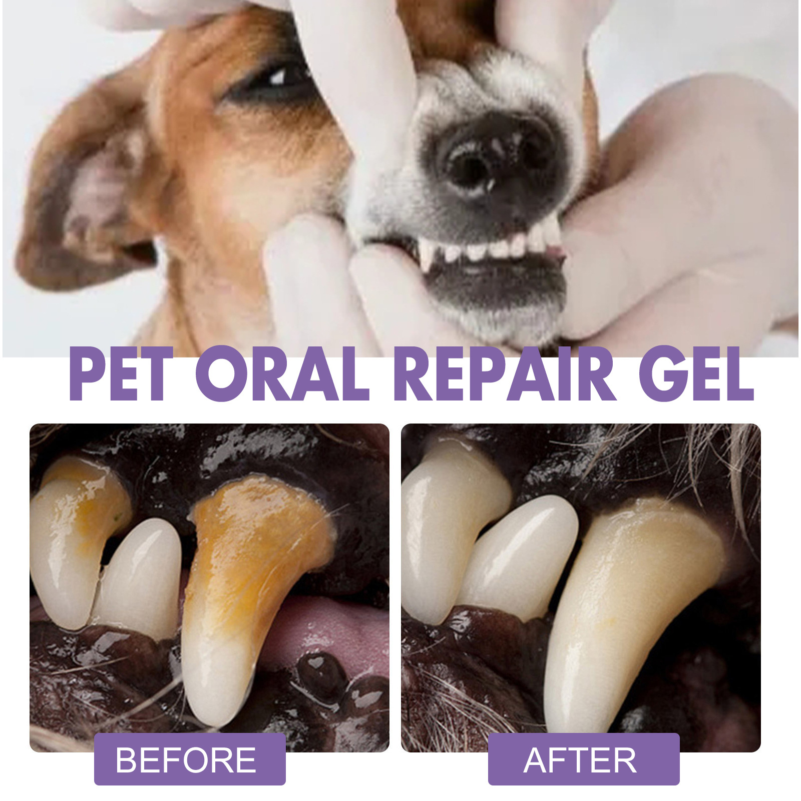 Gel de réparation orale pour a - Teeth Whitening From Home avis et prix